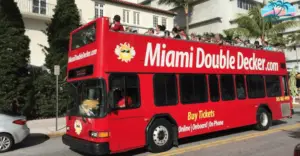 Visit Miami in Duck Boat or Decker Bus