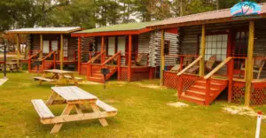 The Cabins in vortex springs