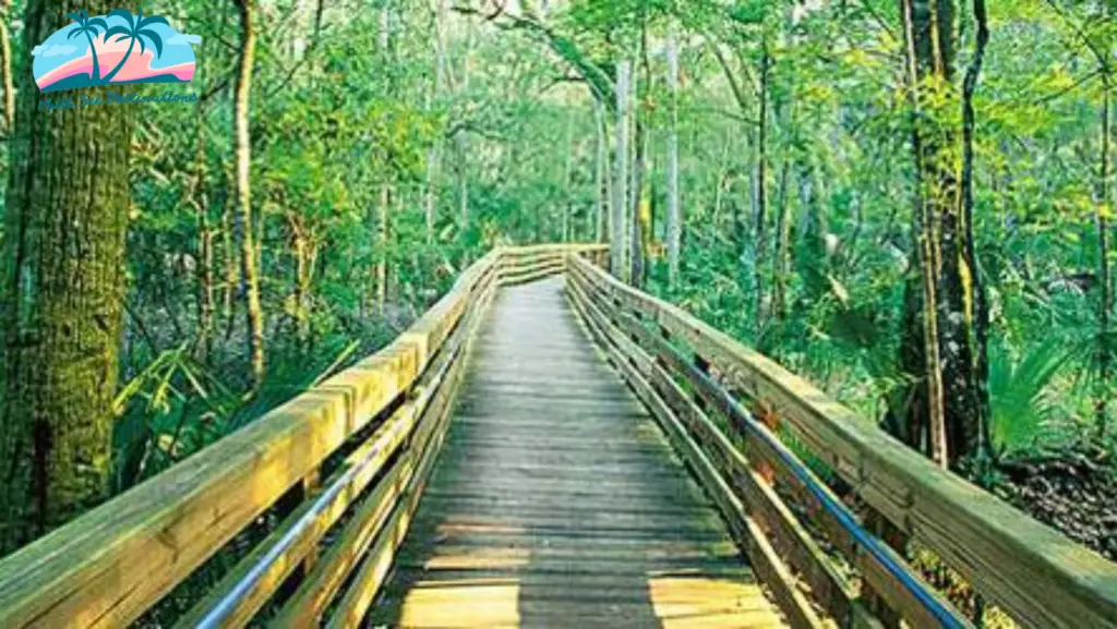 National Forests in Florida