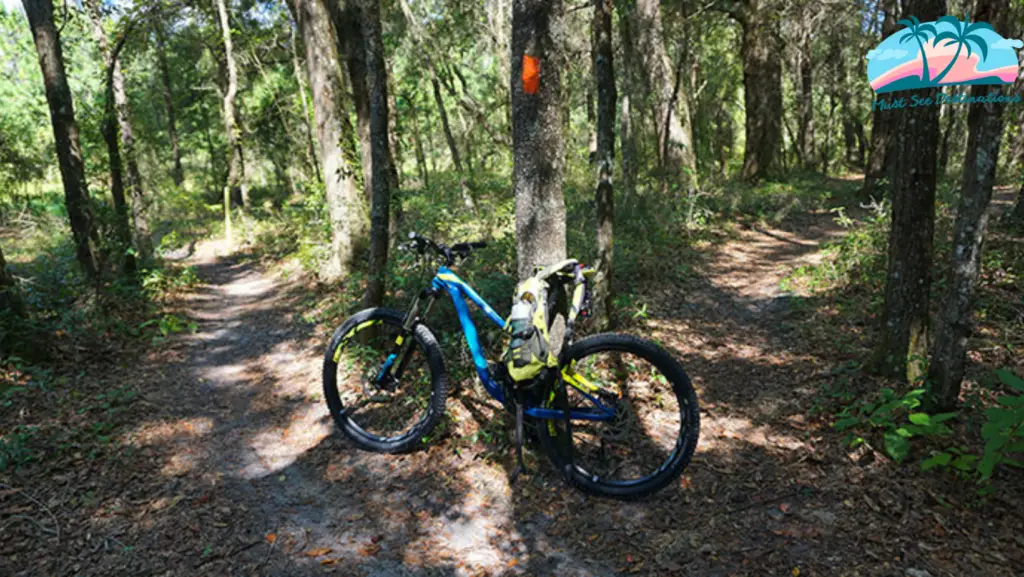 Mountain biking in Florida