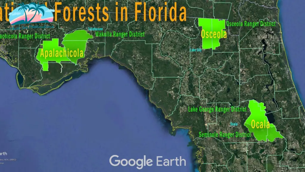 National Forests in Florida