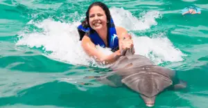 Dolphin Explorer in Punta Cana