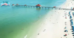 Snorkeling in Tampa - Clearwater Beach