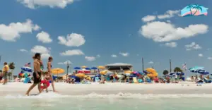  Snorkeling in Tampa - Treasure Island Beach